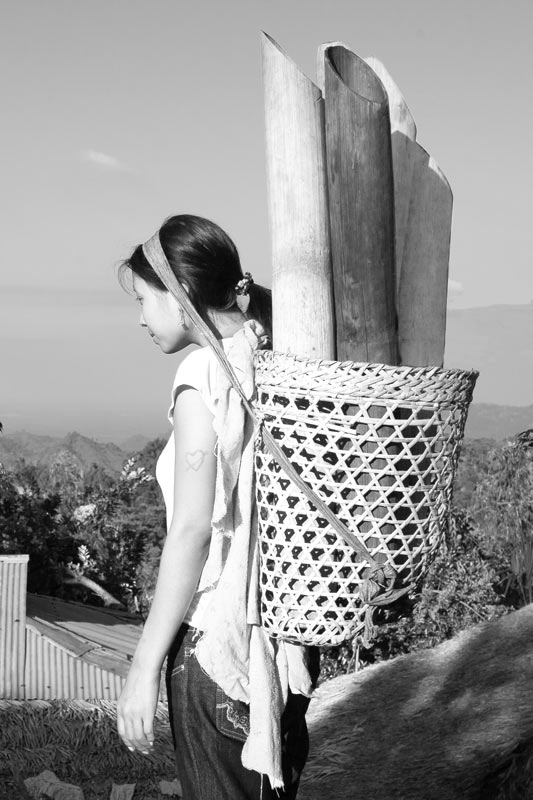 Carriage and Transportation of Drinking Water - Mon district, Nagaland
